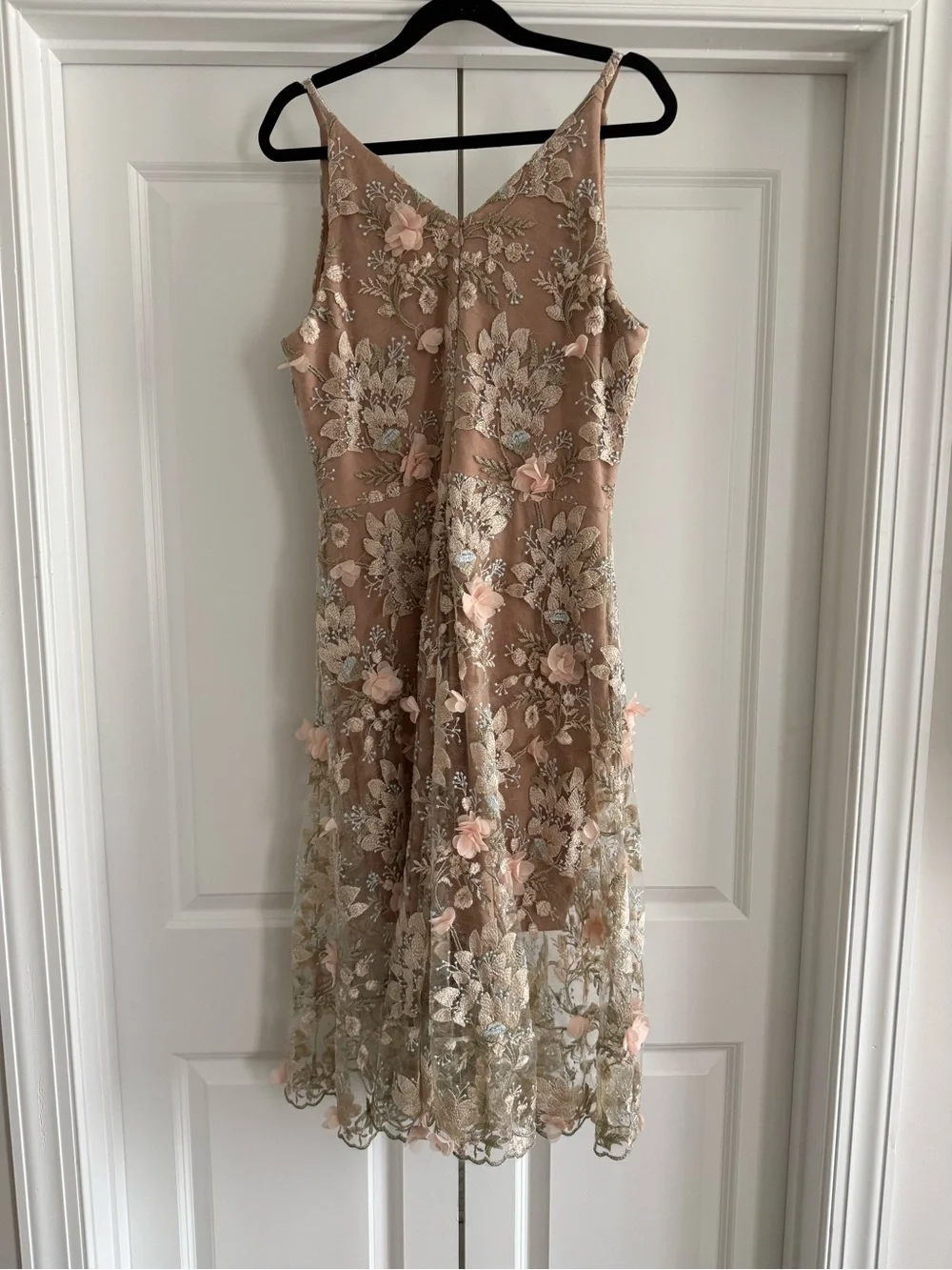 Dress the Population Blush Floral Embroidered Midi Dress